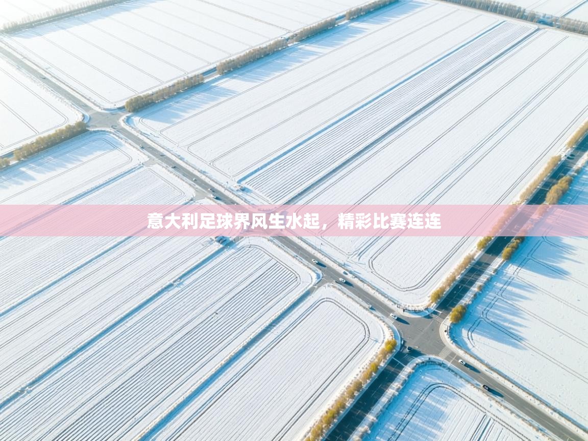 意大利足球界风生水起，精彩比赛连连  第2张